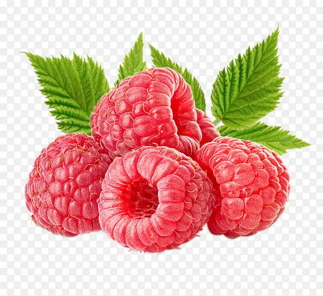 ������ݮˮ���ز�-������