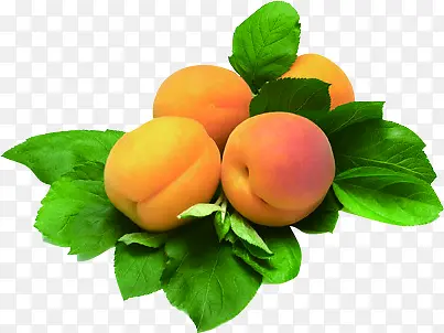 ��������ˮ������-������