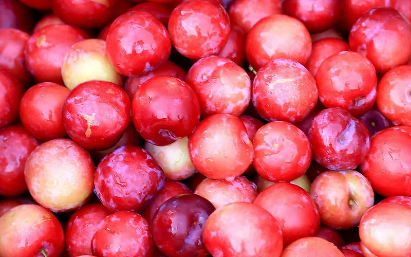 ��ɫ��������ˮ��-������