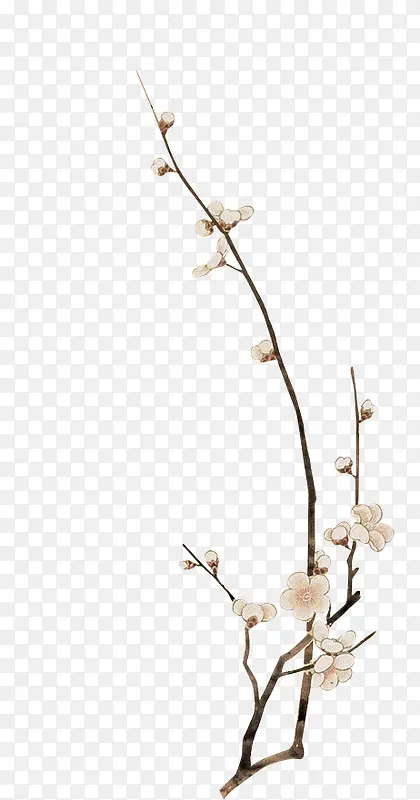 �ֻ��ɫ����÷��-������