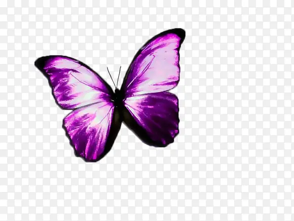 ��ɫ����-������