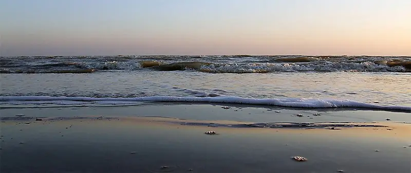 ɳ̲��������-������