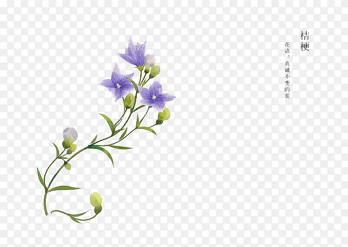 �ֻ滨��-������