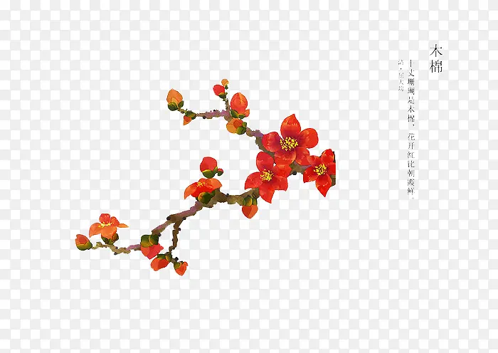 �ֻ滨��-������