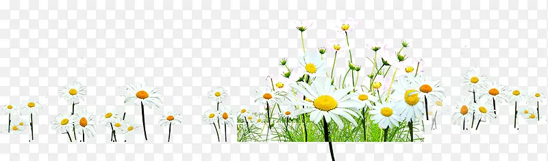 ������ɫ���ճ���-������