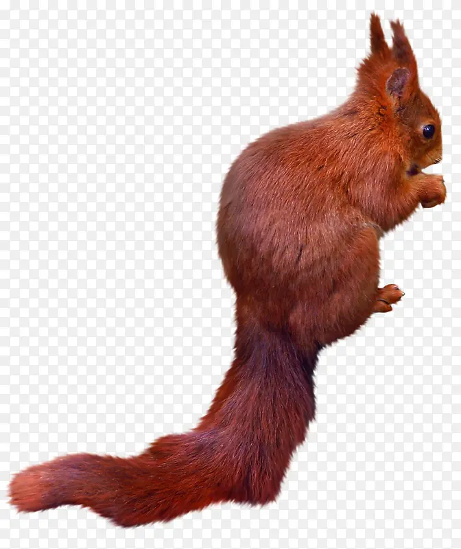 �����ɫ�ɰ�����-������