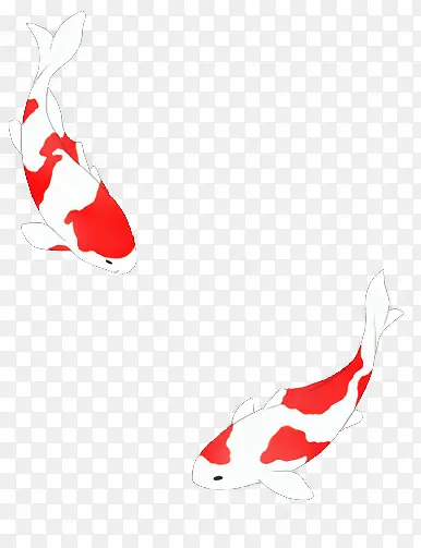 ��ɫС��ɰ�����-������