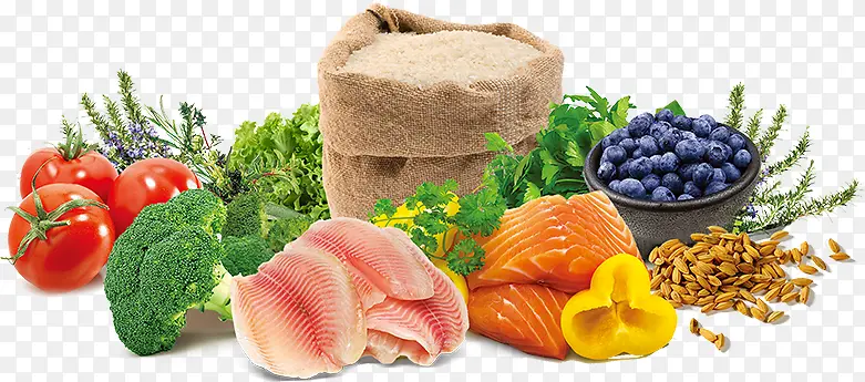 ��ɫ�߲�����-������