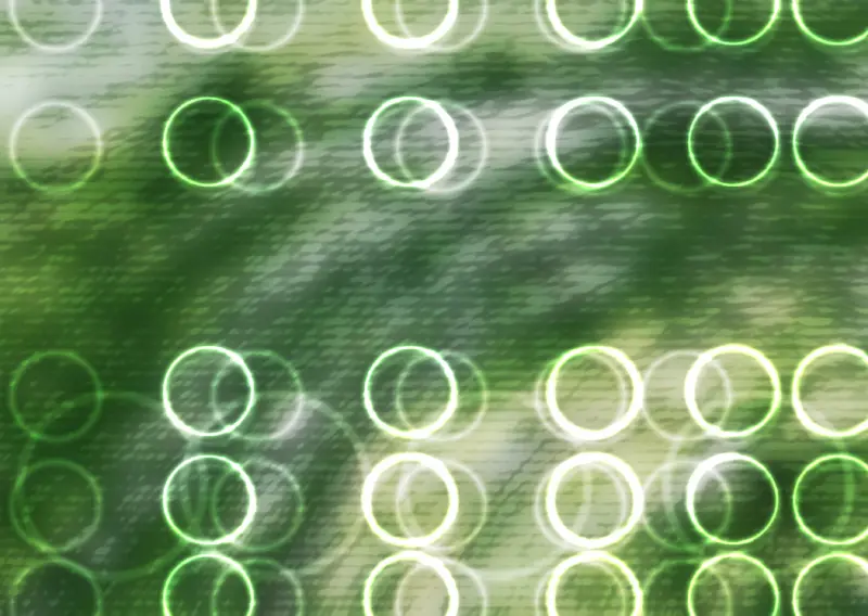 IT�����ز�059-������