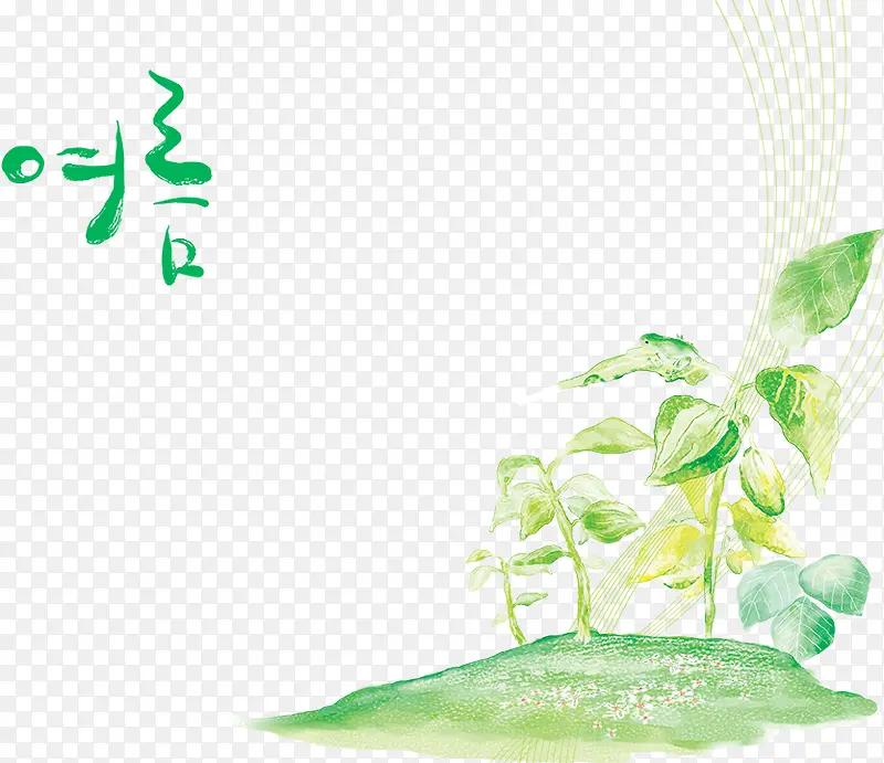 ˮ�ʿ�ͨ��Ҷ-������