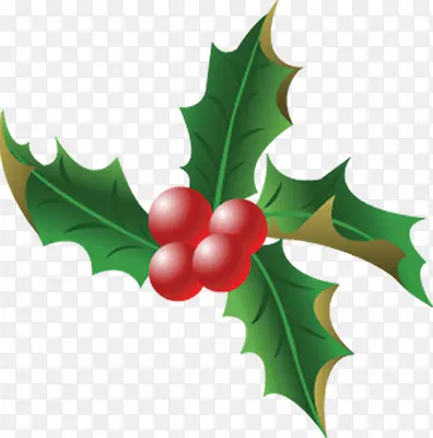 �ֻ�ʥ������Ҷװ��-������