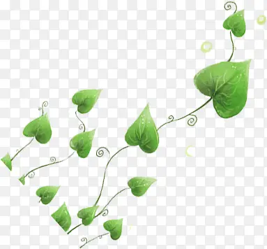 ��ɫ��ͨ������Ҷ���-������