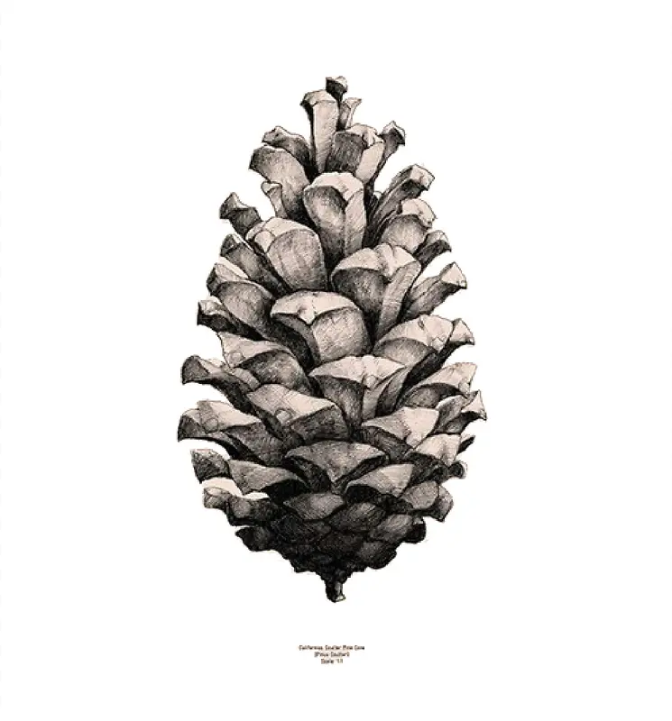 �����ɹ�-������