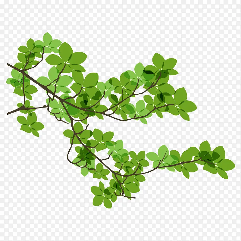 ��֦ ����֦-������