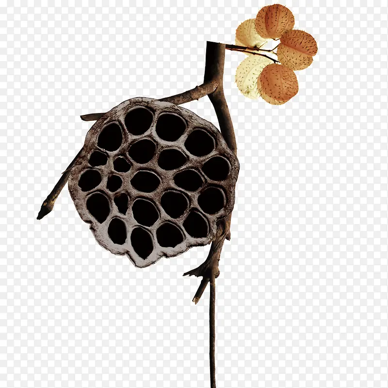 ��������-������