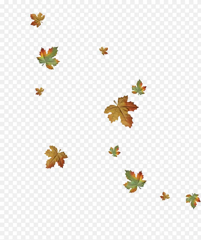 Ư���Ĳ�ɫ��Ҷ-������