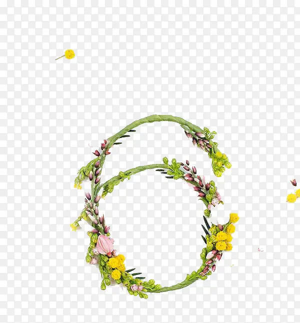 ��ɫֲ������6-������