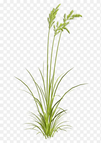 ˮ������-������