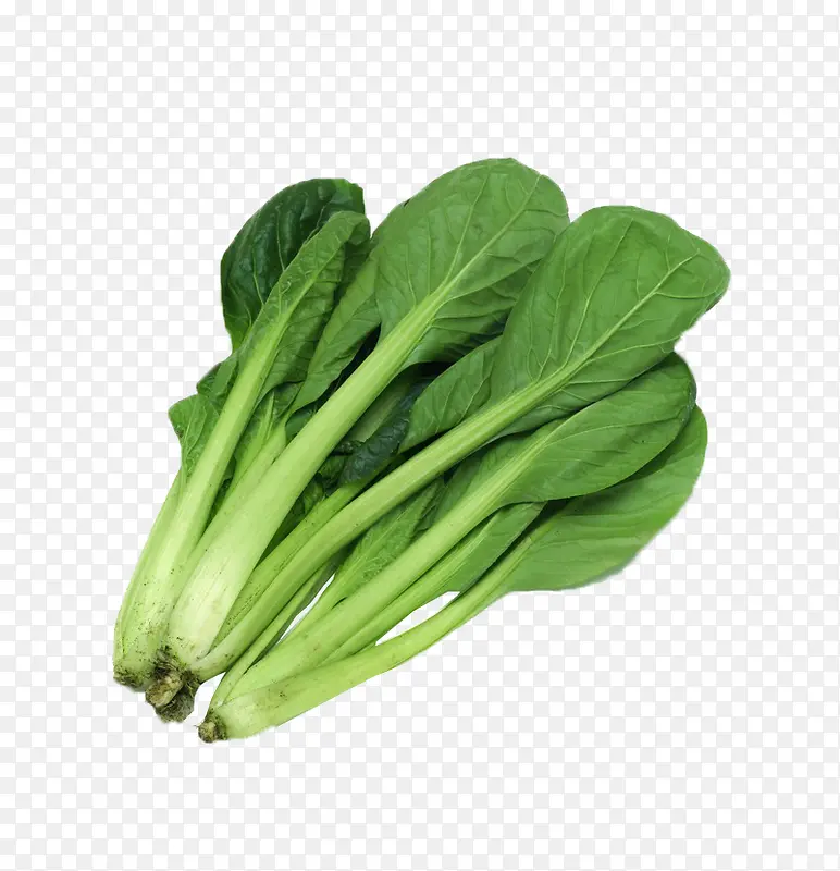 С�ײ�-������