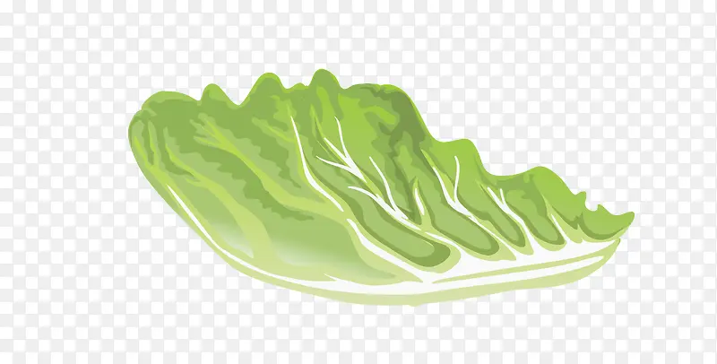 ʸ�� �ײ�Ҷ��-������