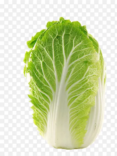 �ײ�-������