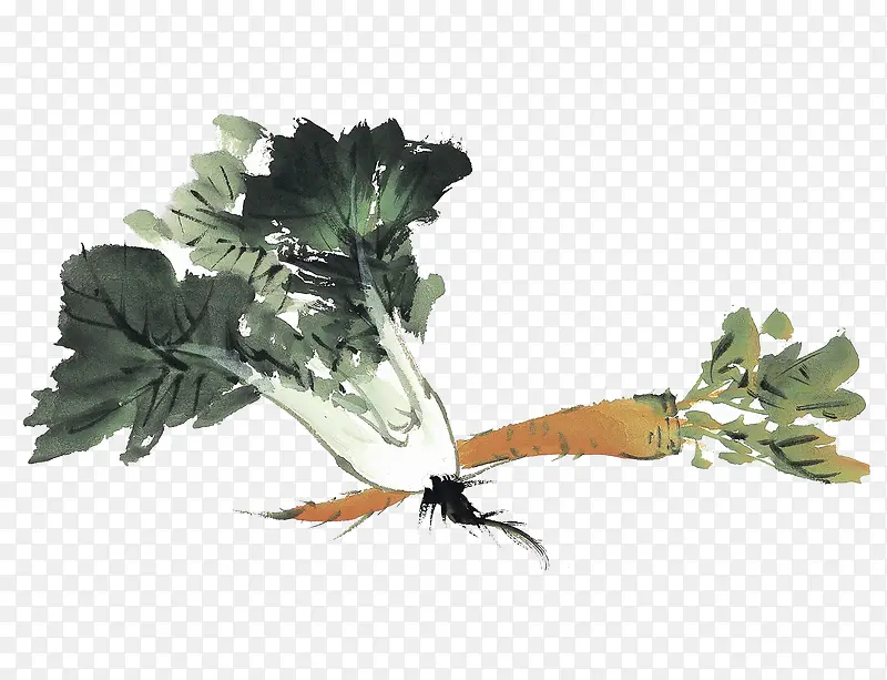 �߲�ʳ��-������