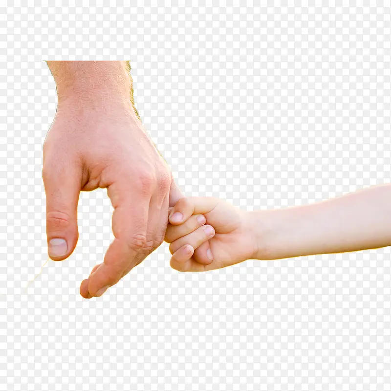 ��ʵ��-������