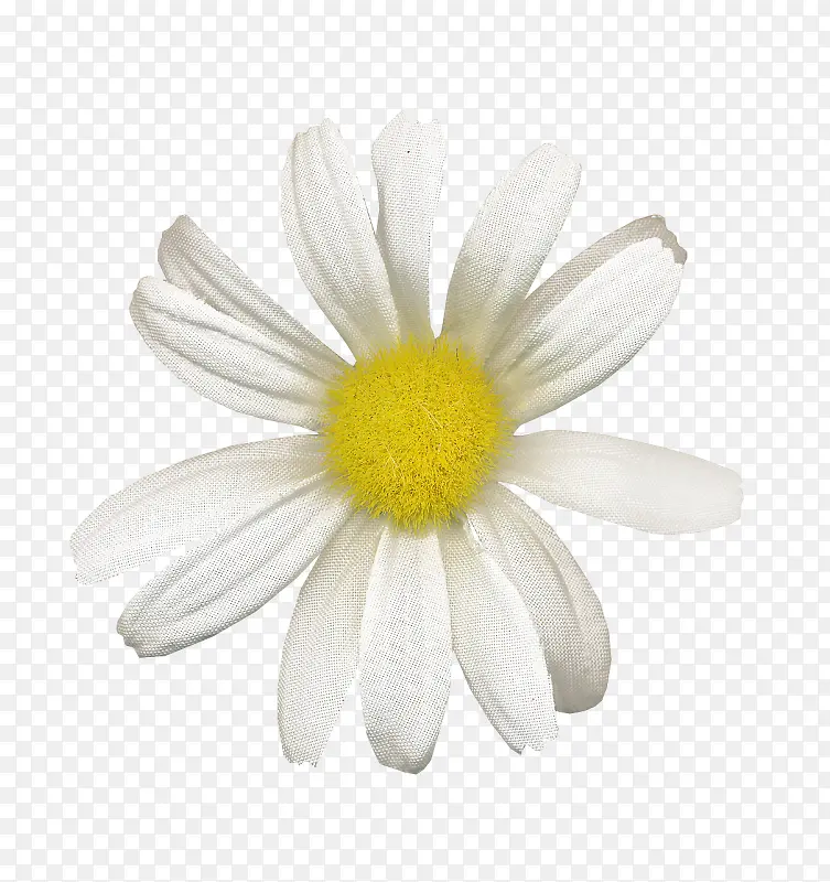 ��ɫ����-������