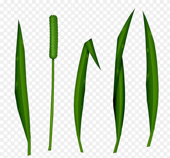 С����д-������