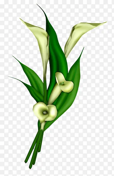 С��-������