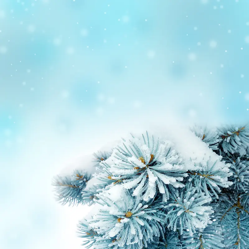 ѩ������-������