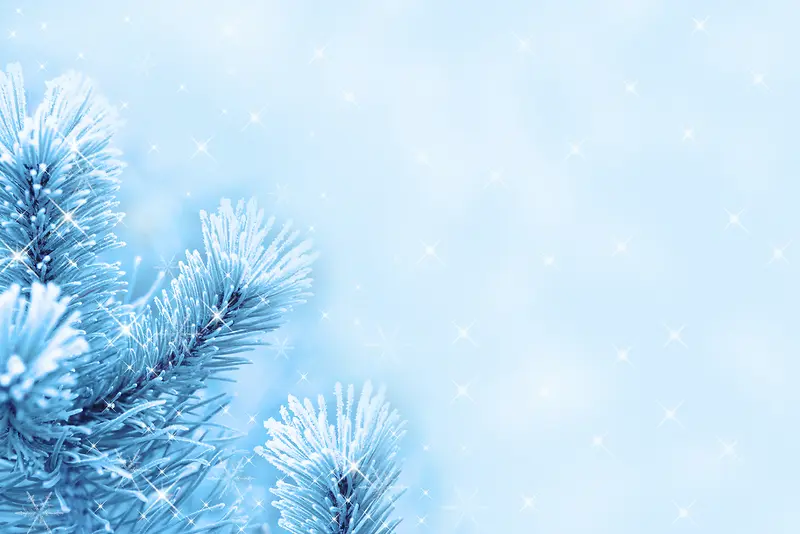 �λ�ʥ���ڱ���-������