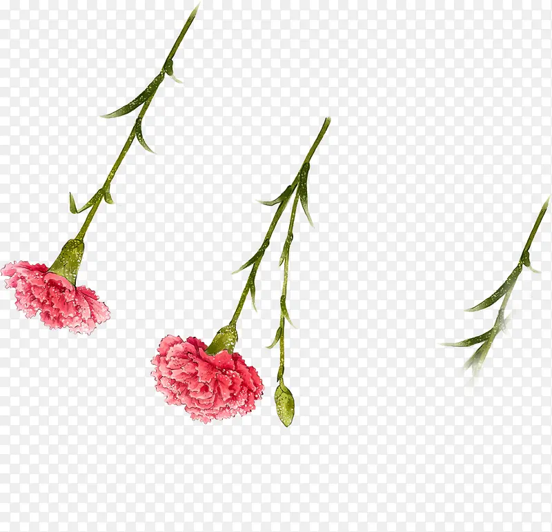 ��ɫˮ�ʻ���ֲ��-������