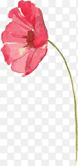 ��ɫˮ�ʻ�������-������