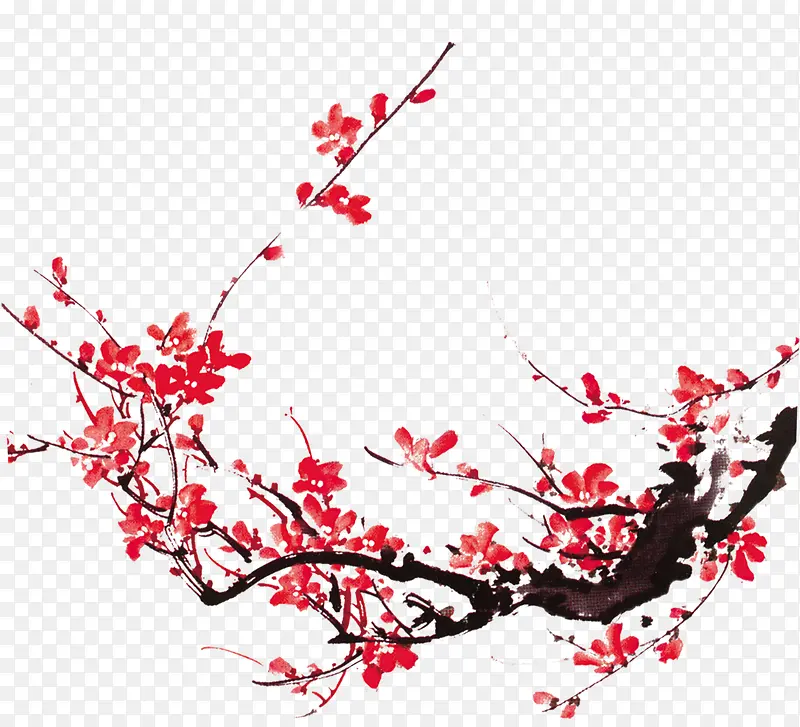 ��ɫ����÷����֦-������