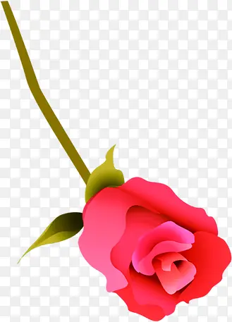 ��ɫ����ֲ��廭-������