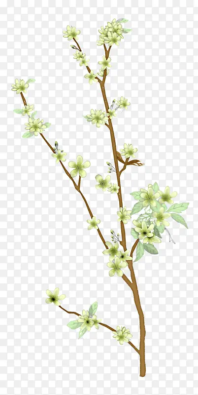 ��ɫ��֦��ɫ���仨֦��֦-������