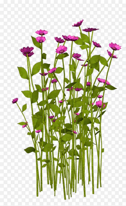 �̲ݺ�ɫ�����ز�-������