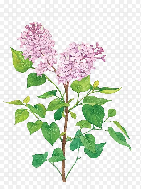 ˮ�ʻ����ɫ����-������