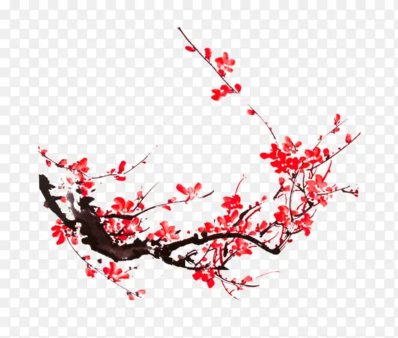 ˮ��÷����ɫ����-������