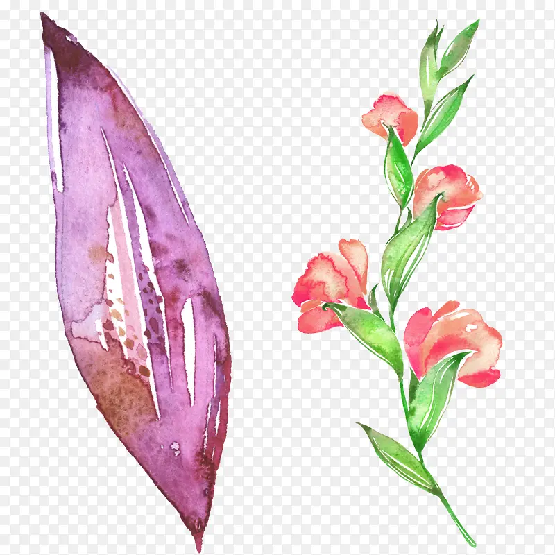 ˮ��Ҷ�Ӻ�ɫ����-������