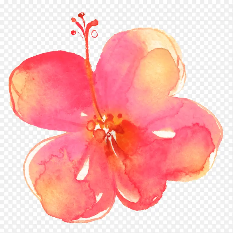 ˮ�ʺ�ɫ����-������