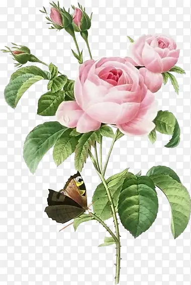 �ֻ��ɫ����-������