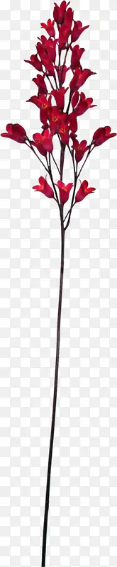 ��ɫ������֦-������