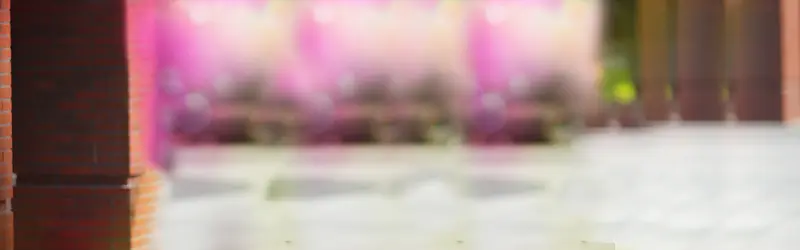 �ǹⱳ��-������