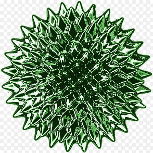 ���������ز�������״-������