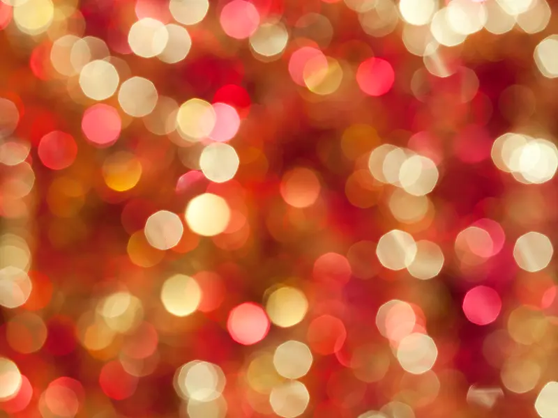 ʥ���ڱ���-������