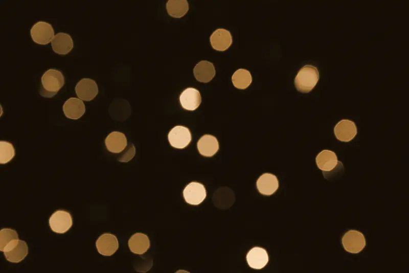 ���ɹ�߱���-������