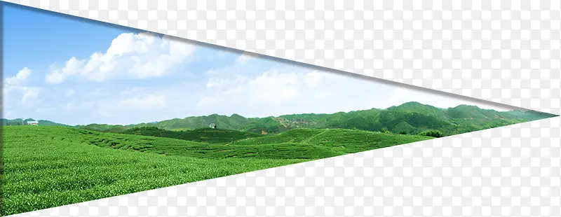 ���Ƿ羰���������廭-������