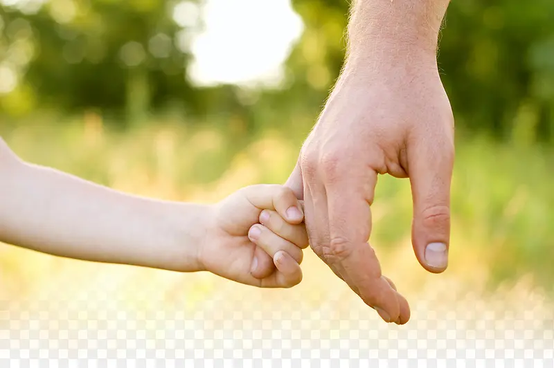 С�������ָ��׽ڱ���-������